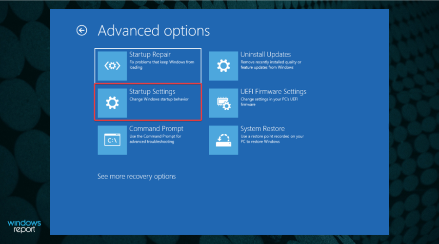 troubleshoot startup settings