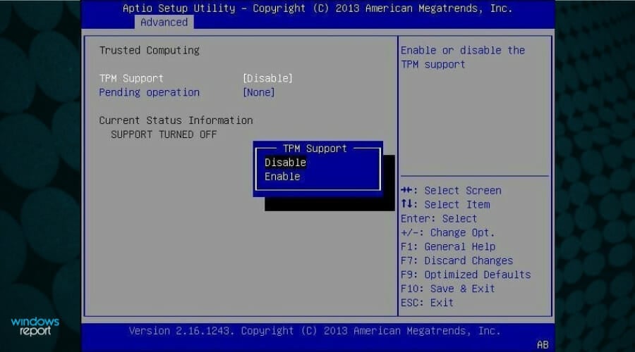 disable tpm