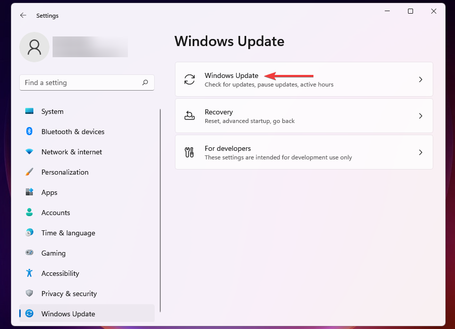 Windows Update