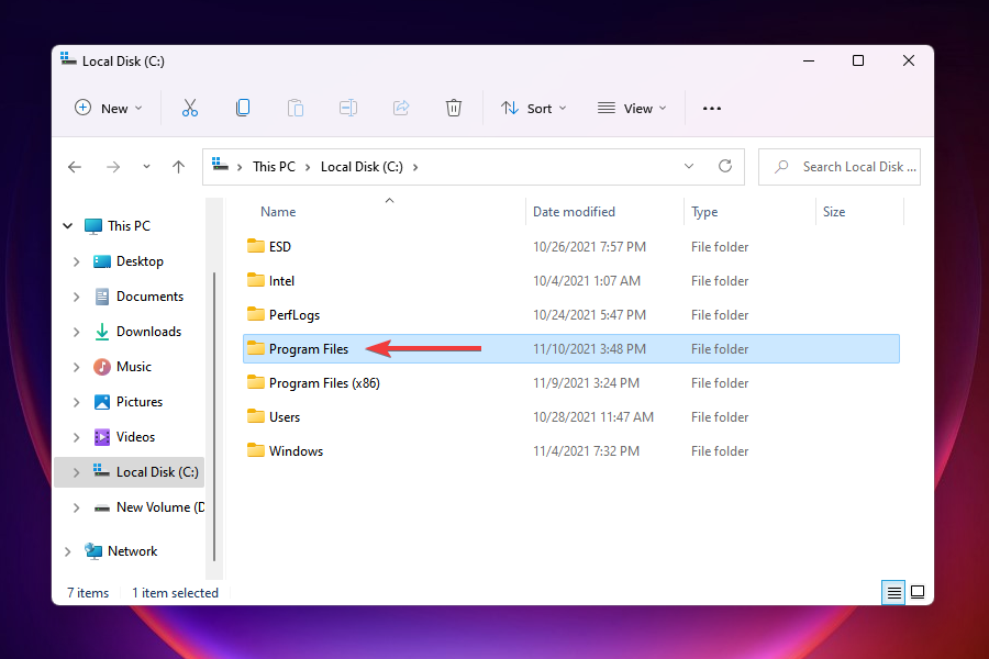 Program Files