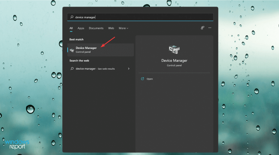 opening device manager