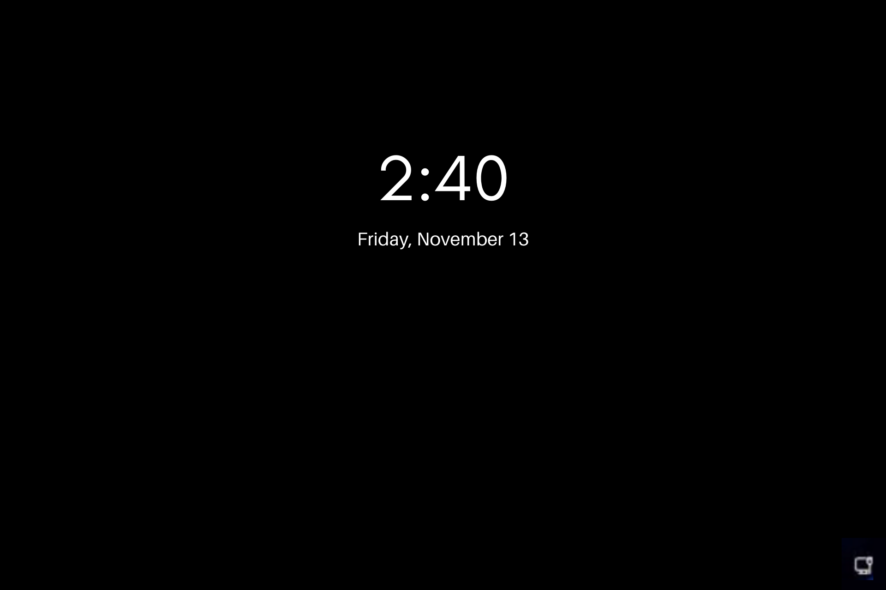 spotlight not working