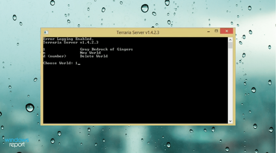 configuring terraria server ss 1