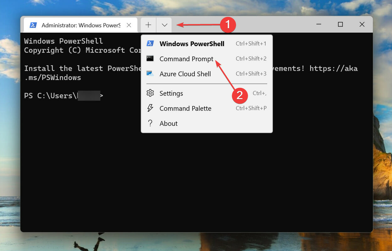 Launch Command Prompt to fix machine check exception windows 11