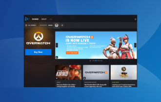 fix battlenet crashing on Windows PC