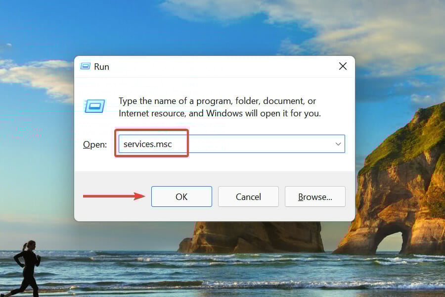 Launch Services