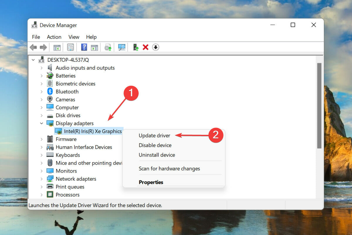 Aggiorna il driver per correggere l'arresto anomalo del desktop di Windows 11