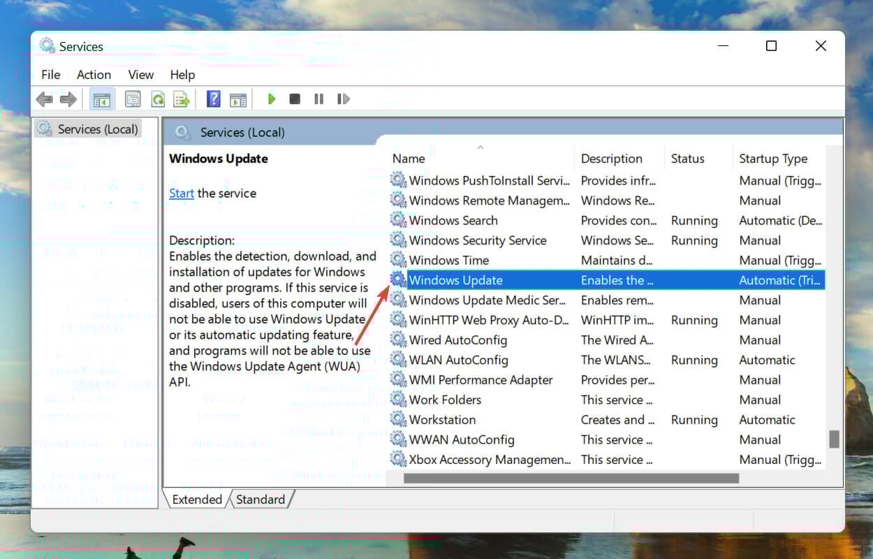 Windows Update