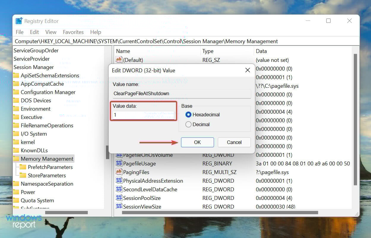 Change value data to fix windows 11 not using all ram