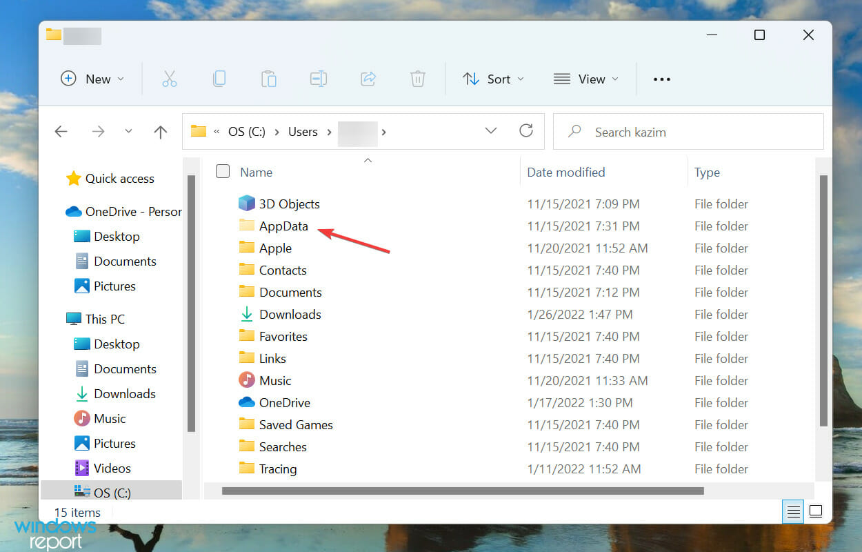 App data to fix axie infinity not working