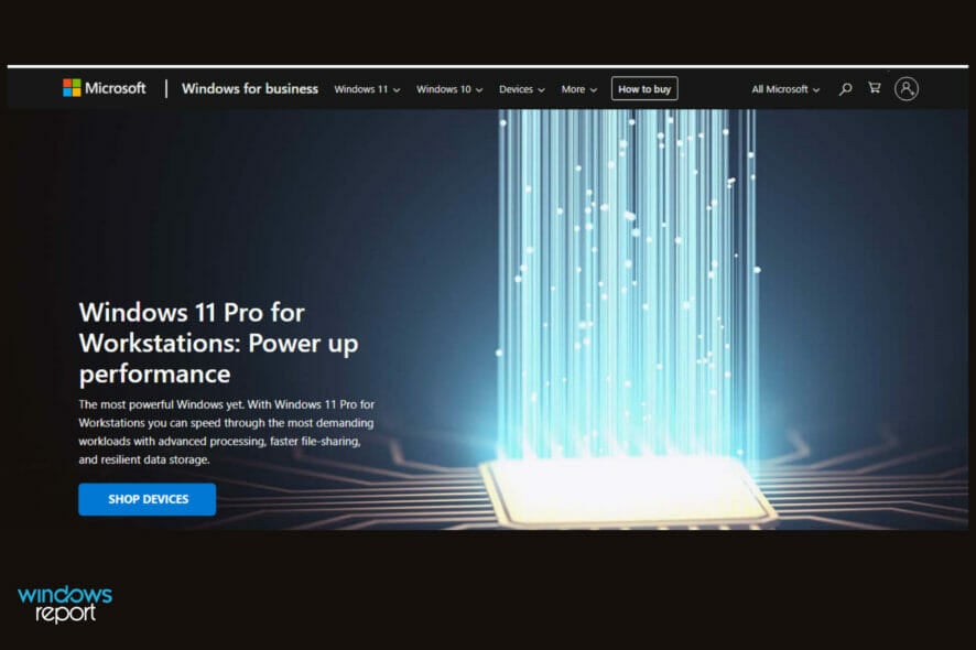 Windows 11 Pro for Workstations