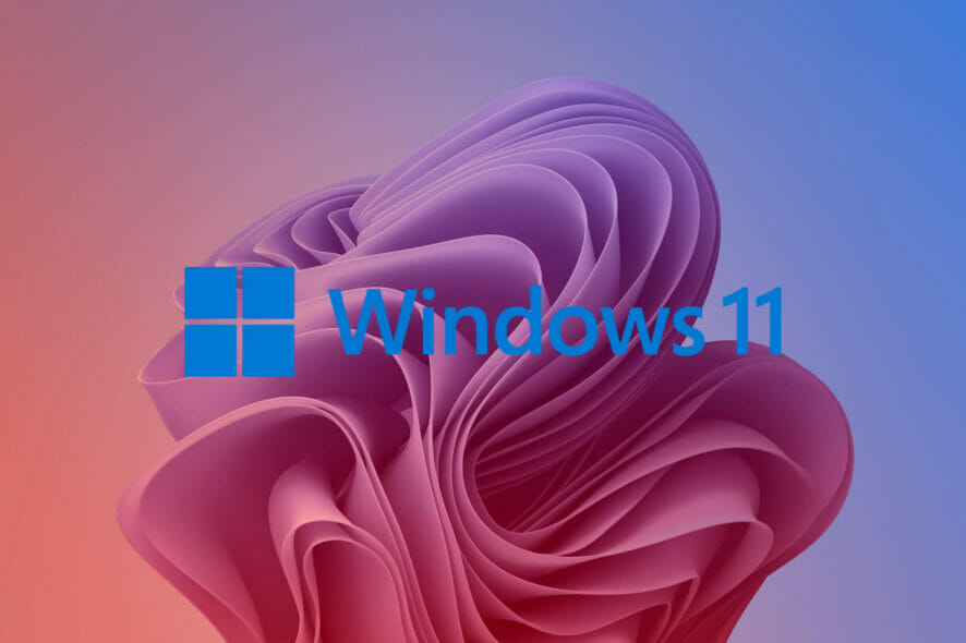 windows 11 update