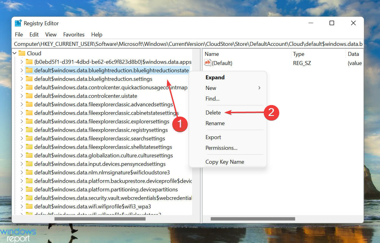 Delete key to fix Night Light not turning off Windows 11