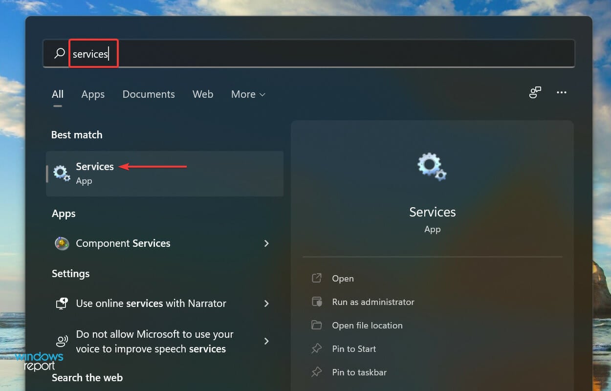 Services