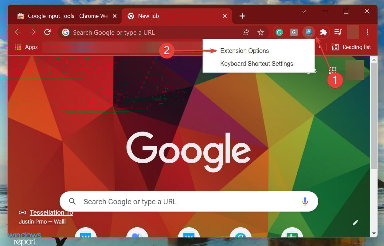 Extension options to use google input tools for windows 11