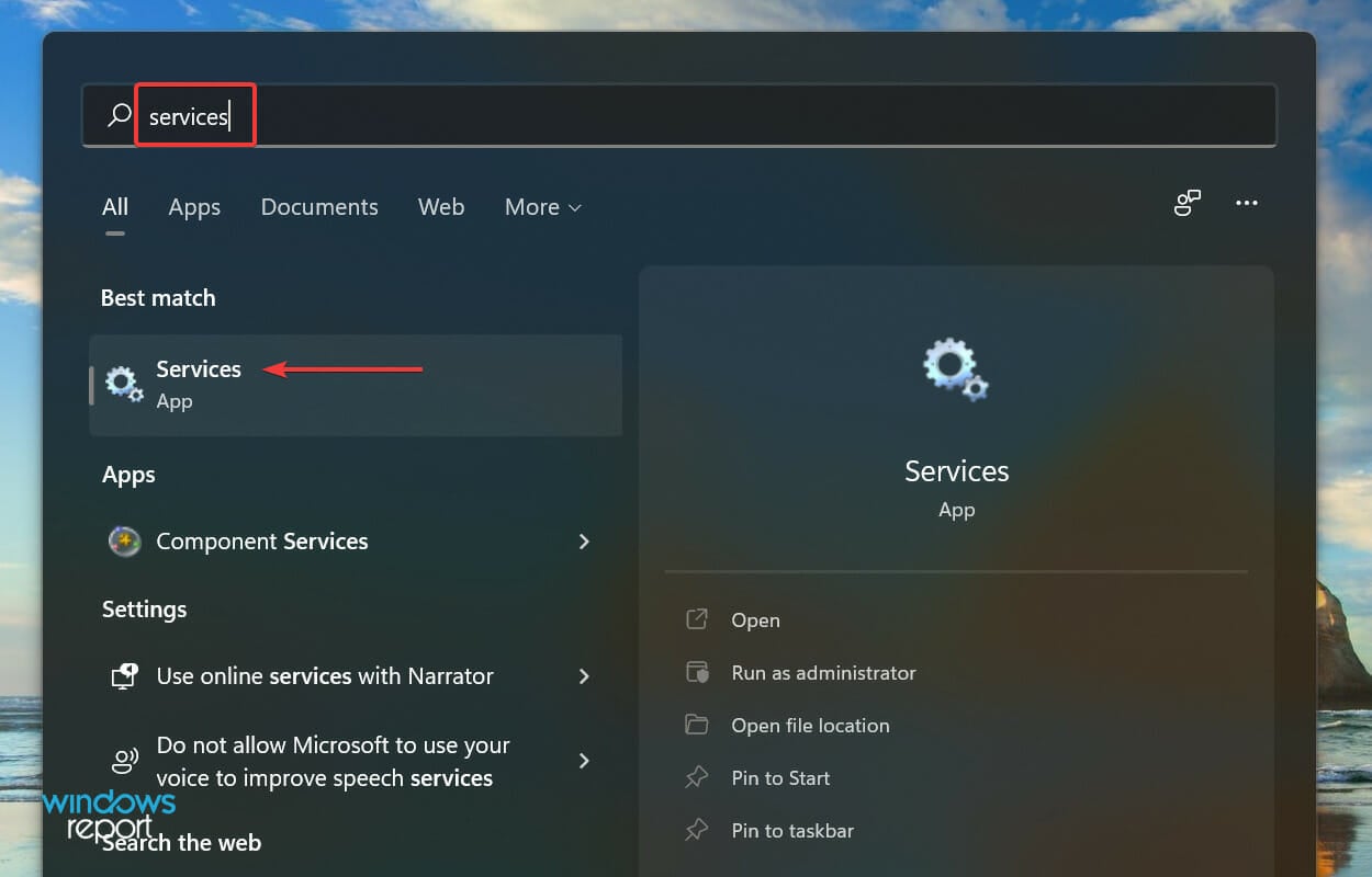 Launch Services