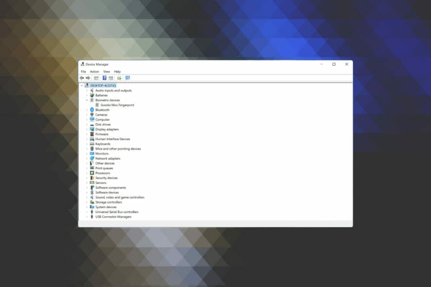 Fix Biometric devices not showing in Device Manager on Windows 11