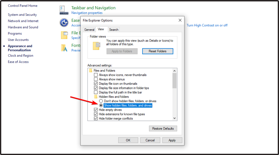 hidden files windows 10 open