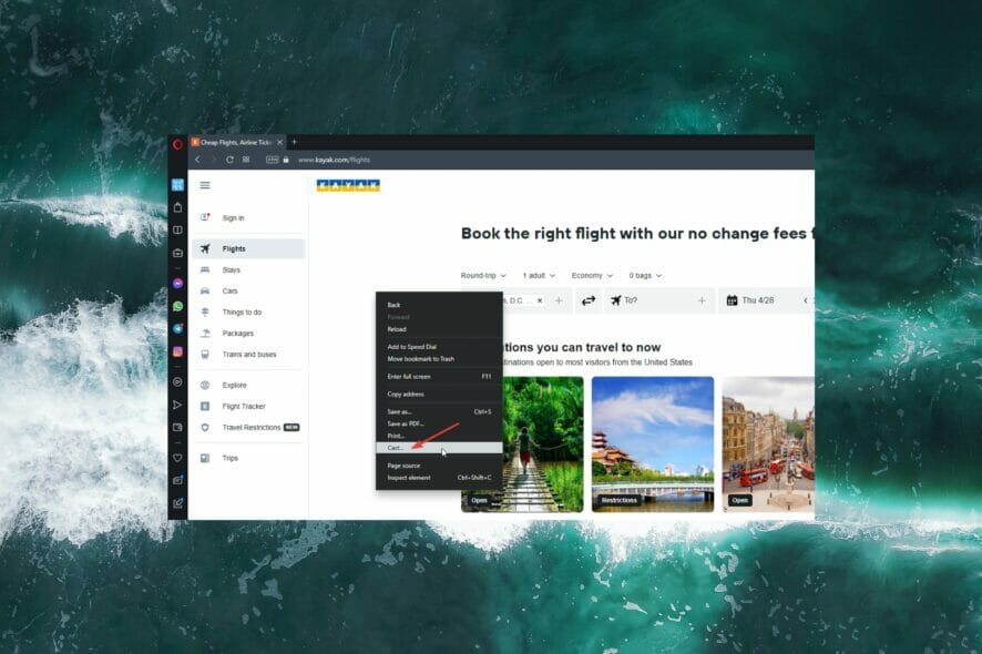 Feature image Opera browser for Roku