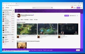 adblock not working on twitch