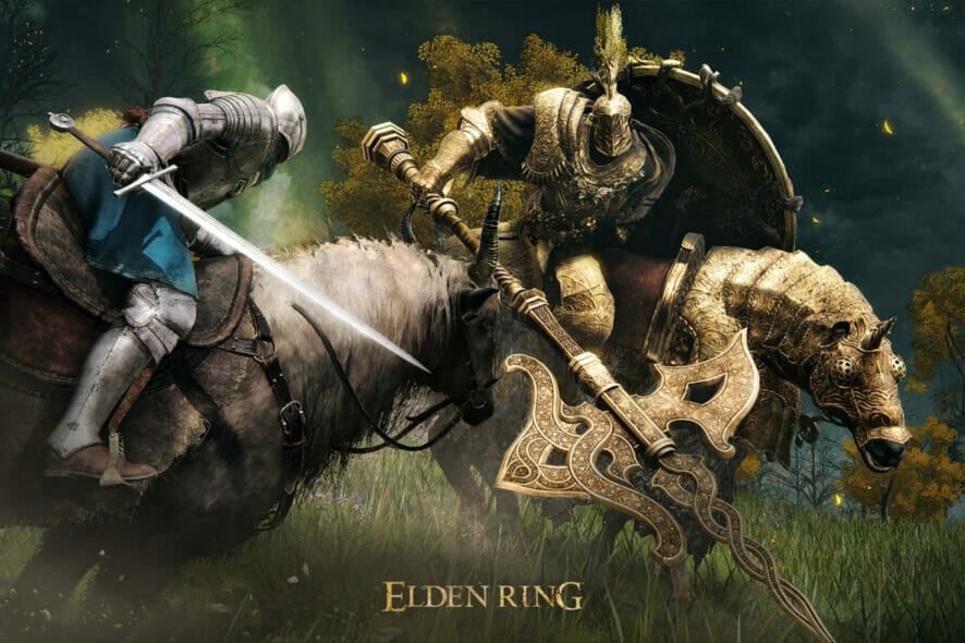 elden ring directx 11