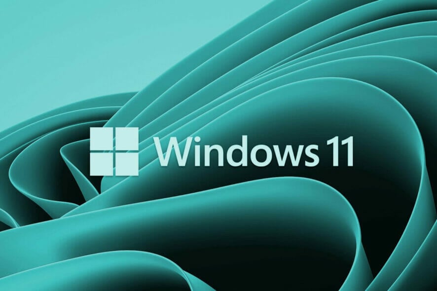 windows 11 build