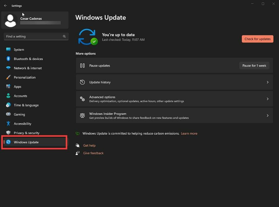 Windows Update tab in the Settings menu