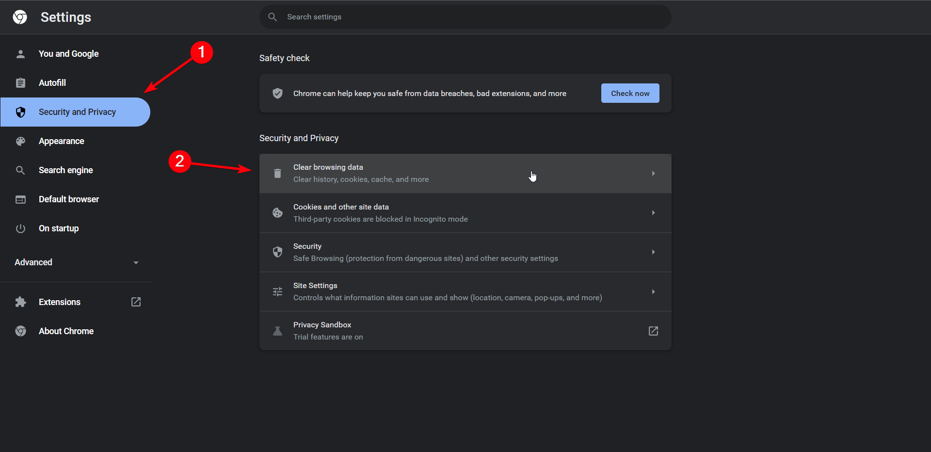 privacy and security delete browser data button