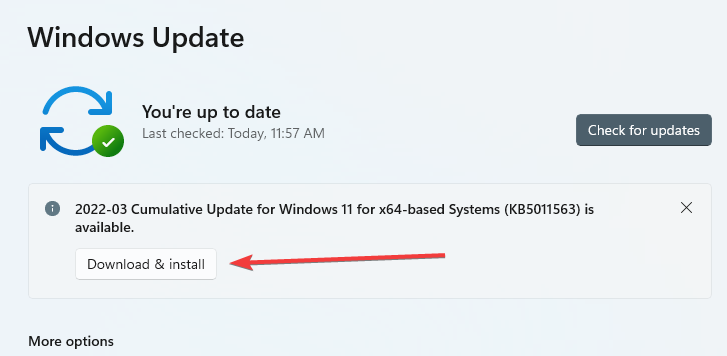 windows 11 não reconhece usb c