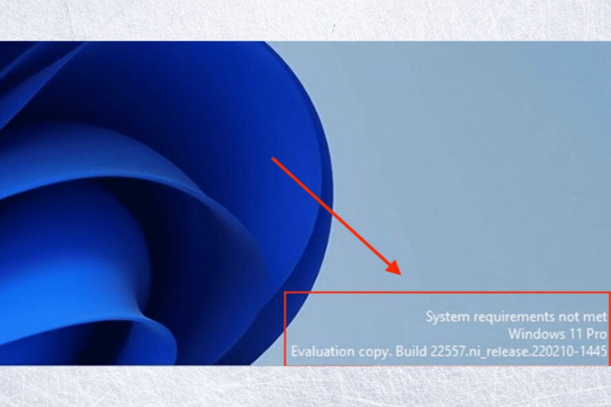 Windows applying watermark for forcefully installed Windows 11