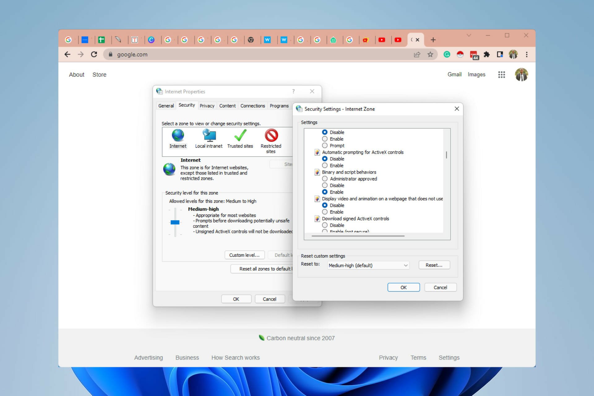 browser that supports activex controls