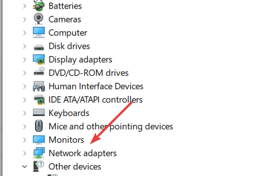 Expanding Network adapters under Device manager