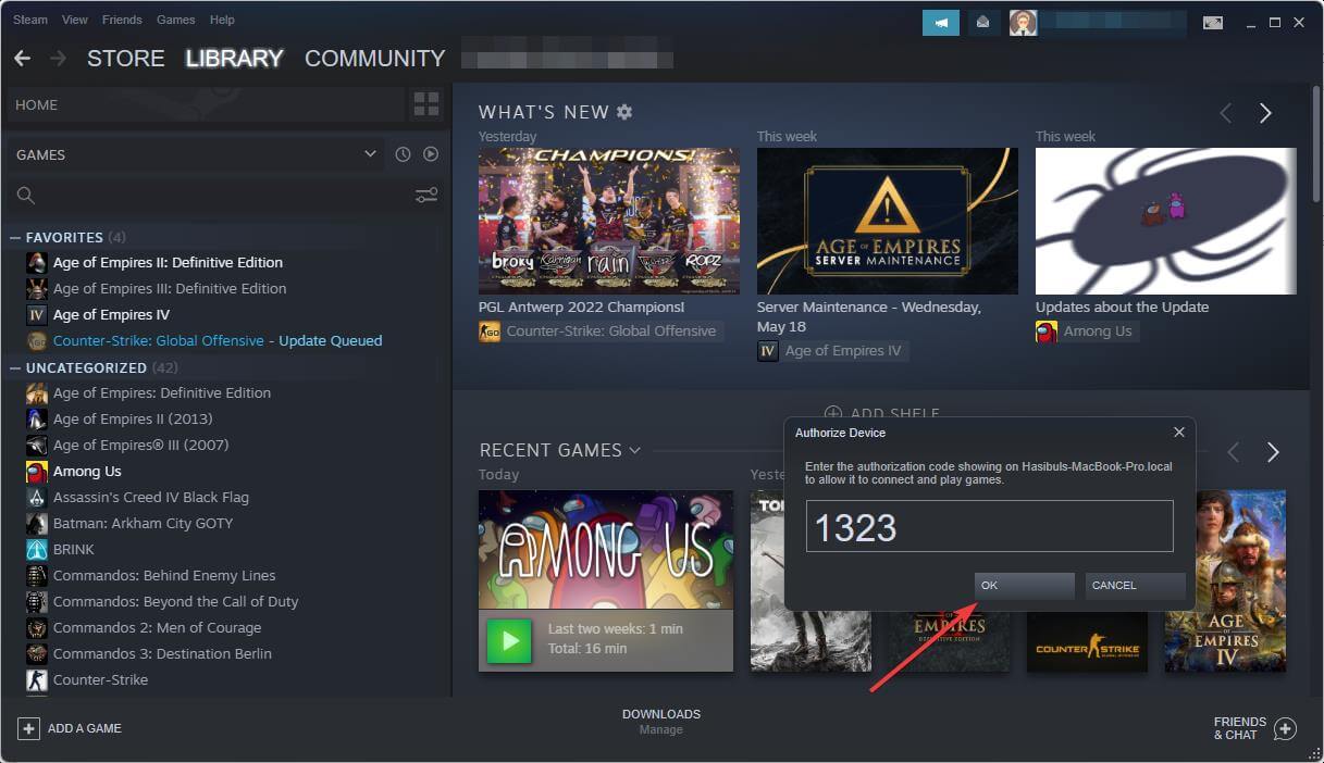 steam link authorization code input