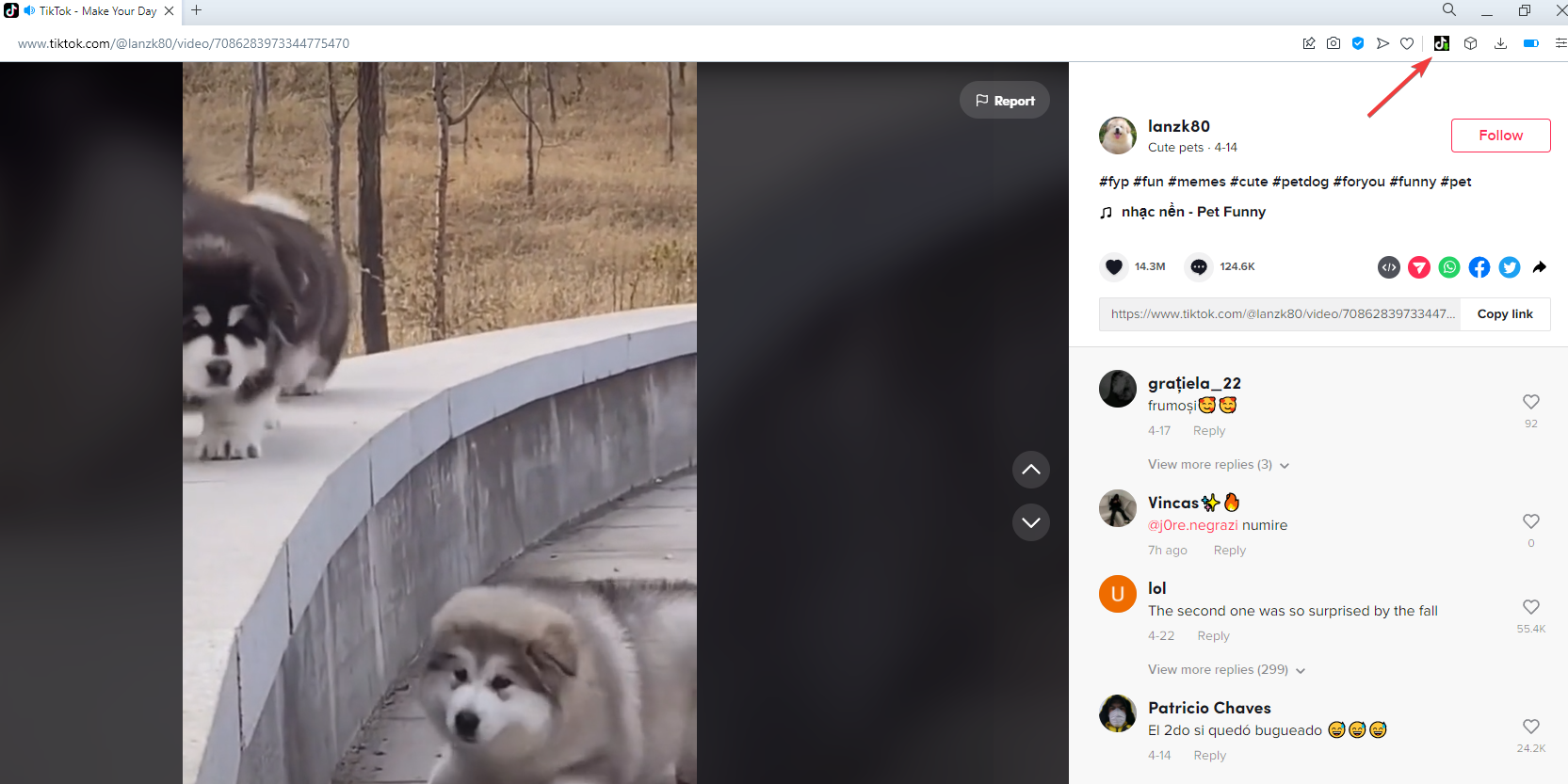 download in batch di video tiktok