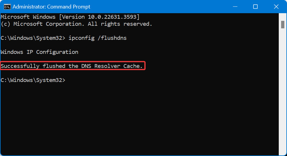 flush dns cache success message