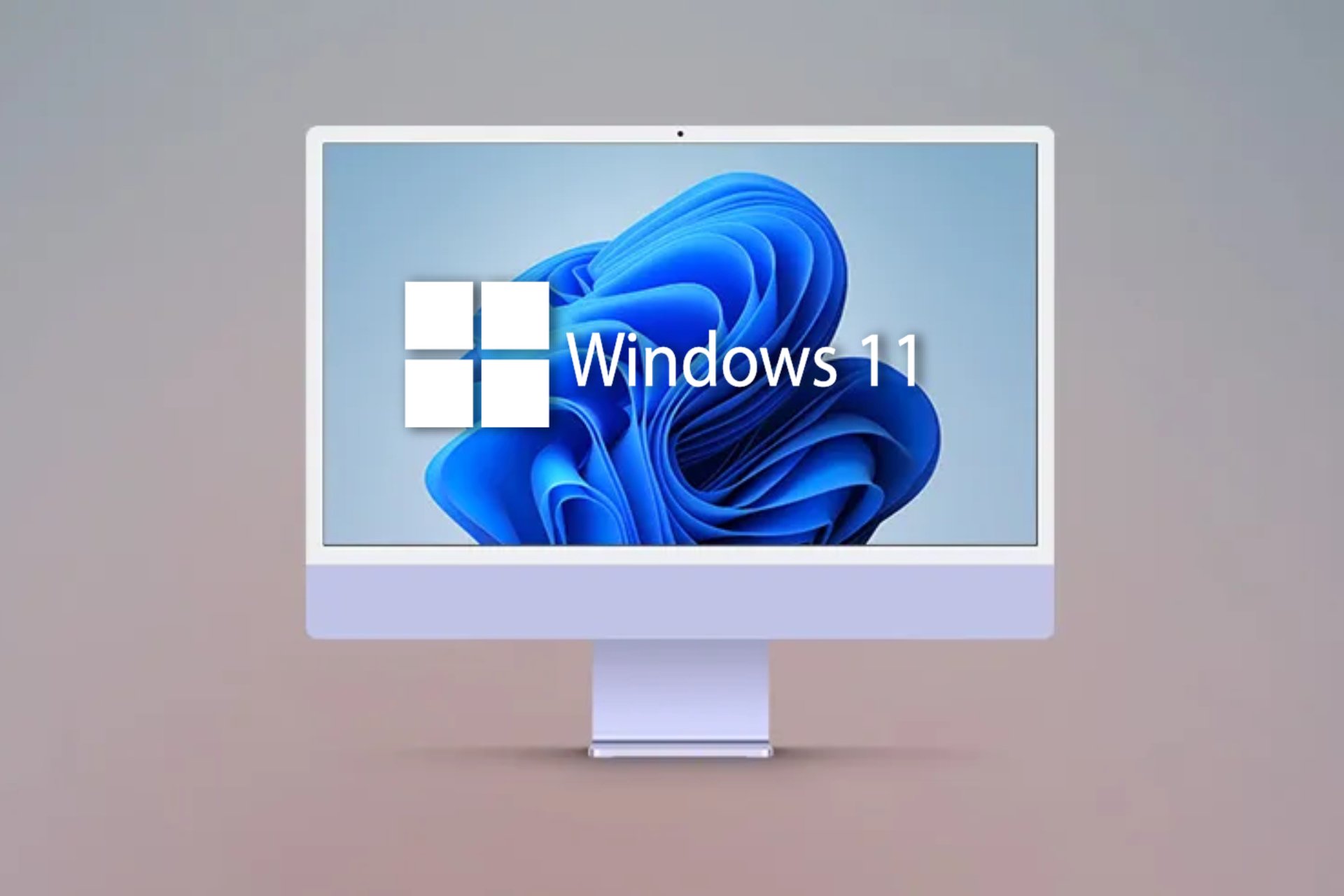 windows 11 new build