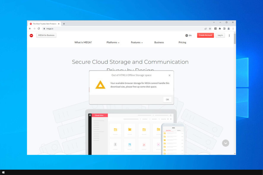 your in browser storage for mega is full