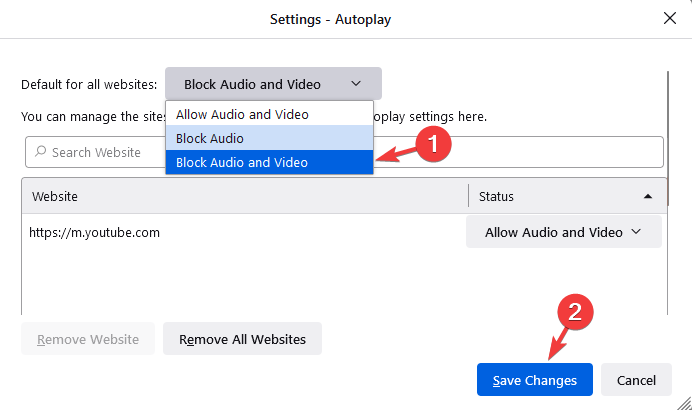 all website block audio and video