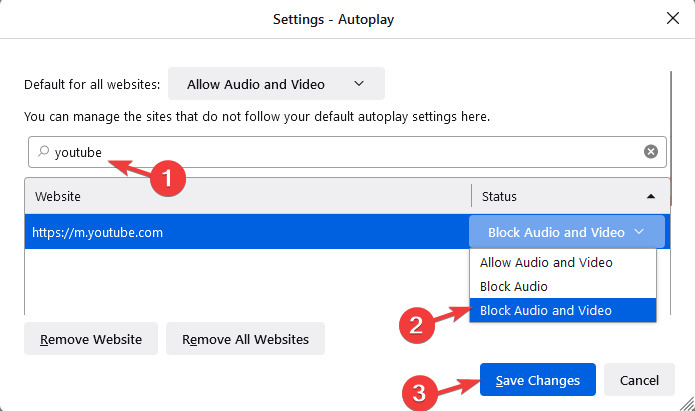 block audio and video specific website
