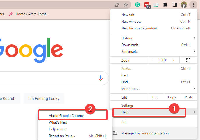 about google chrome settings