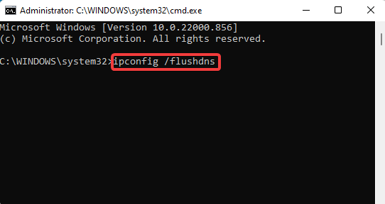 flush dns