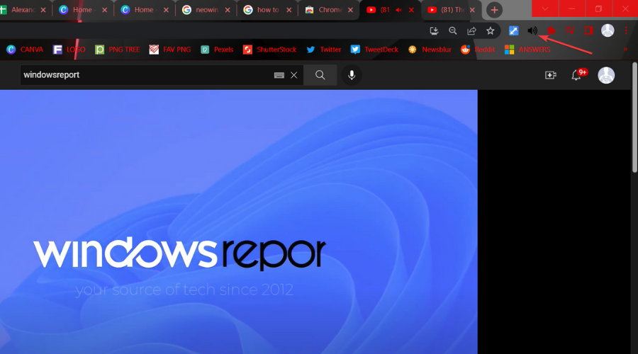 mute tab