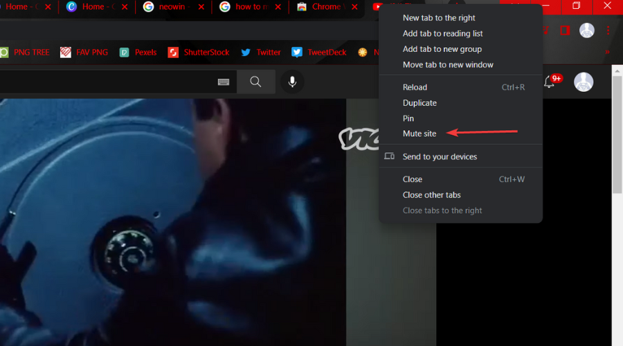 mute site