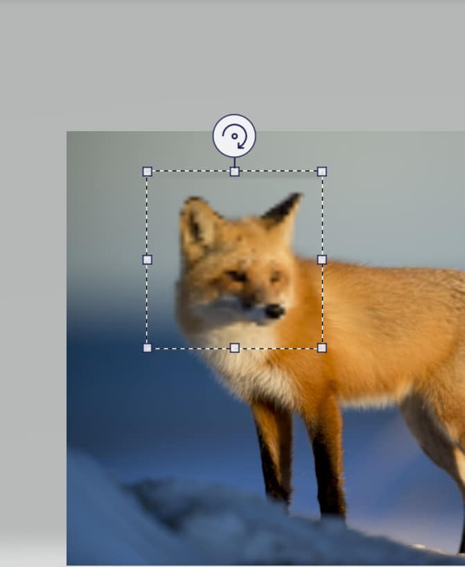 finish pixelating an image