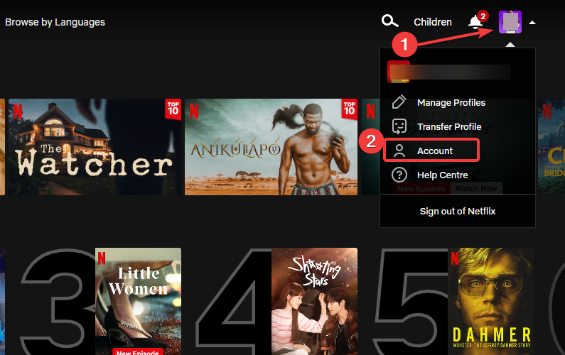 Netflix account settings