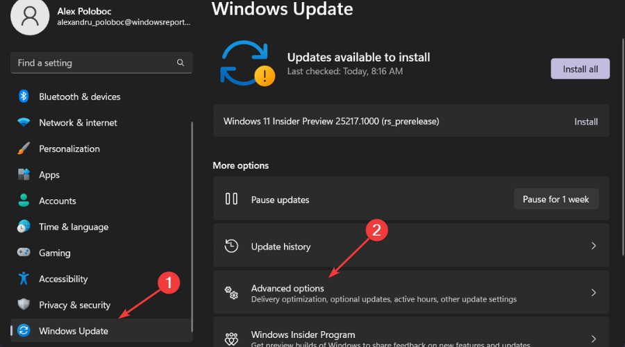 Windows update advanced options