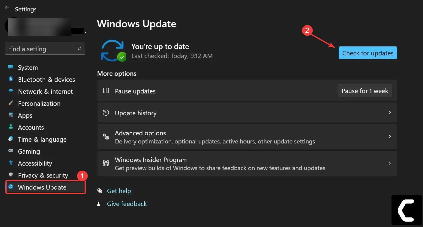 Update Windows