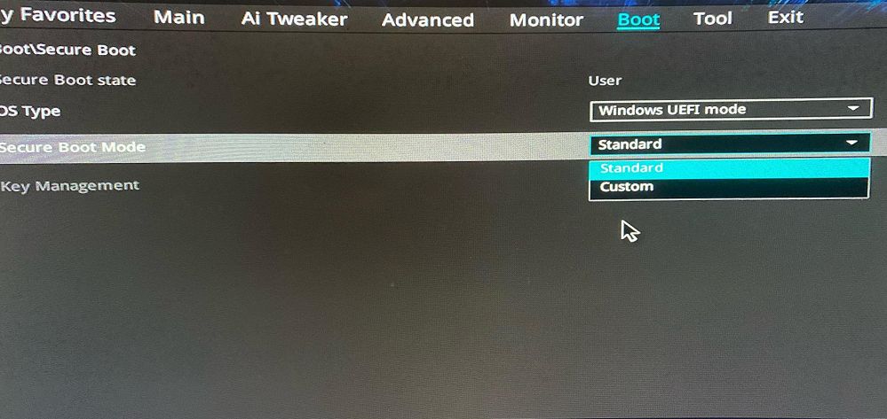SECURE BOOT MODE -secure boot enabled but not active windows 11