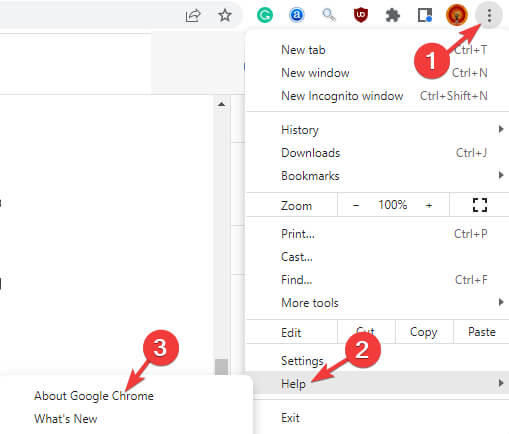 about google chrome