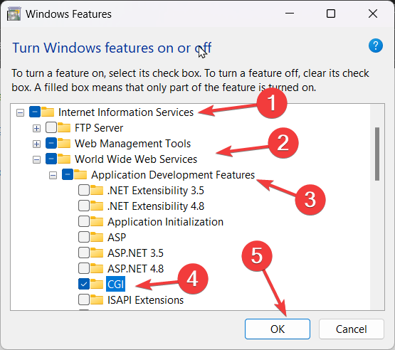 IIS manager enable services